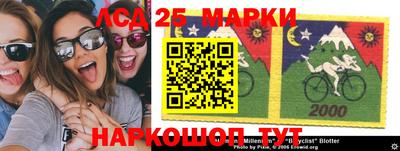 2c-b Пугачёв
