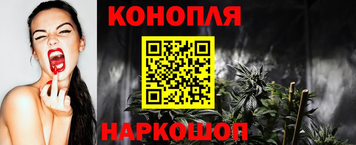 Бошки марихуана сатива Псков